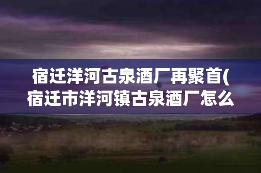 宿迁洋河古泉酒厂再聚首(宿迁市洋河镇古泉酒厂怎么样)