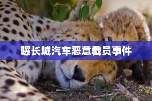 曝长城汽车恶意裁员事件