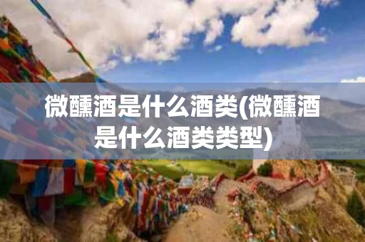 微醺酒是什么酒类(微醺酒是什么酒类类型)