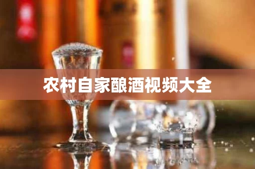 农村自家酿酒视频大全