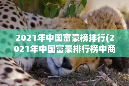 2021年中国富豪榜排行(2021年中国富豪排行榜中商情报网)