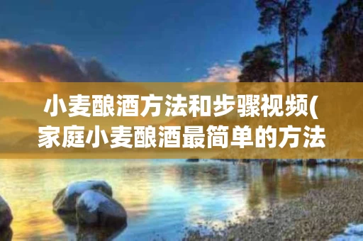 小麦酿酒方法和步骤视频(家庭小麦酿酒最简单的方法)