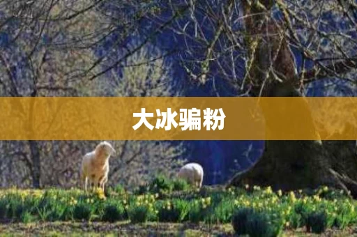 大冰骗粉