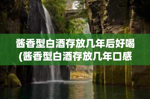 酱香型白酒存放几年后好喝(酱香型白酒存放几年口感最好)