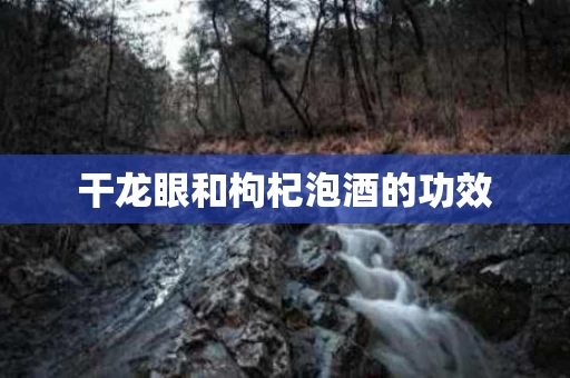 干龙眼和枸杞泡酒的功效