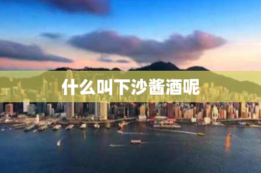 什么叫下沙酱酒呢