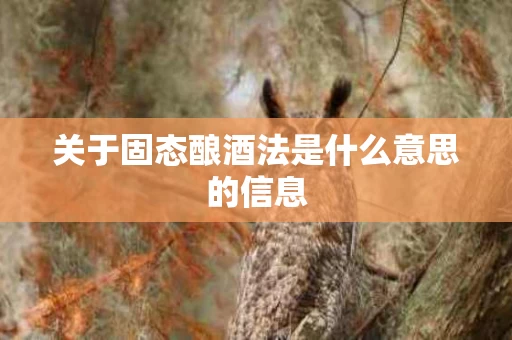关于固态酿酒法是什么意思的信息