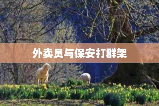 外卖员与保安打群架