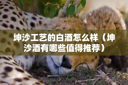 坤沙工艺的白酒怎么样（坤沙酒有哪些值得推荐）