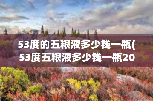 53度的五粮液多少钱一瓶(53度五粮液多少钱一瓶2023)