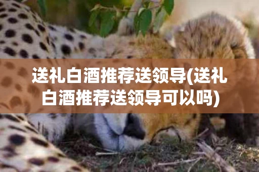 送礼白酒推荐送领导(送礼白酒推荐送领导可以吗)