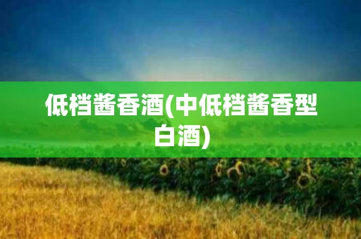 低档酱香酒(中低档酱香型白酒)
