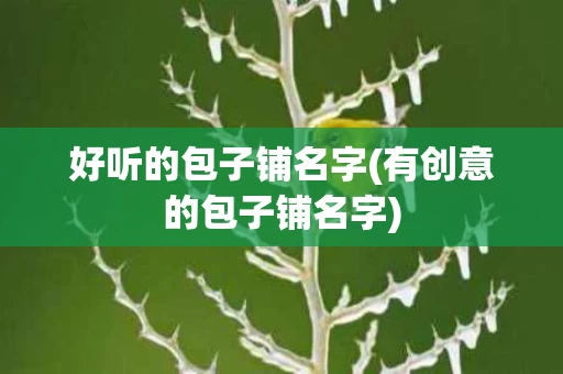 好听的包子铺名字(有创意的包子铺名字)