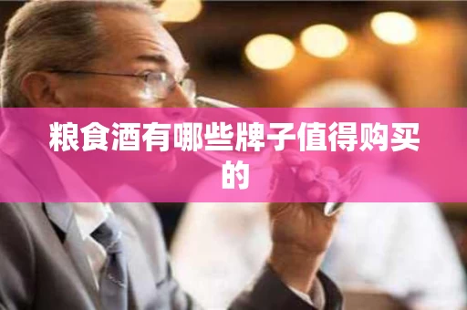 粮食酒有哪些牌子值得购买的 粮食酒有哪些牌子值得购买的