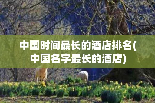 中国时间最长的酒店排名(中国名字最长的酒店)