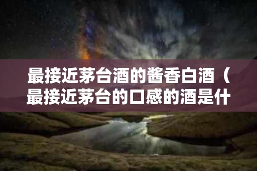 最接近茅台酒的酱香白酒（最接近茅台的口感的酒是什么酒）