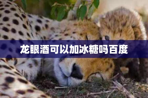 龙眼酒可以加冰糖吗百度