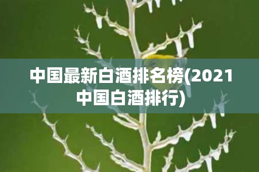 中国最新白酒排名榜(2021中国白酒排行)
