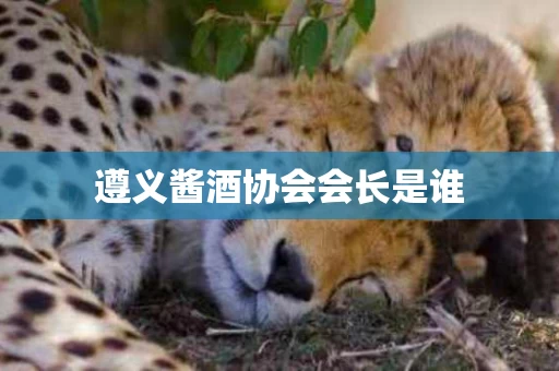 遵义酱酒协会会长是谁
