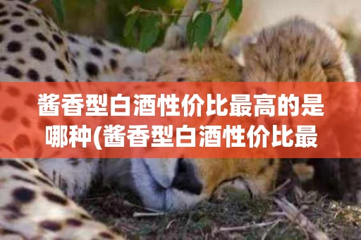 酱香型白酒性价比最高的是哪种(酱香型白酒性价比最高的是哪种酒)