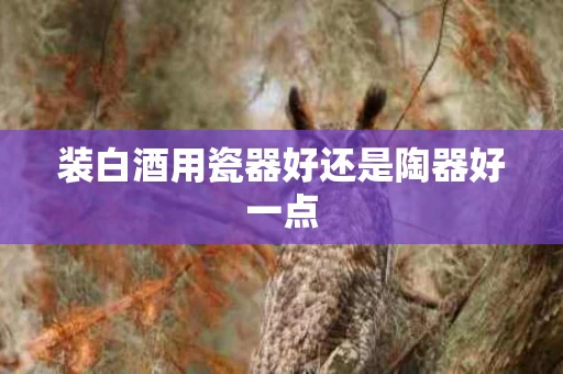 装白酒用瓷器好还是陶器好一点