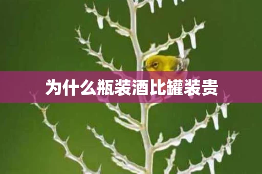 为什么瓶装酒比罐装贵