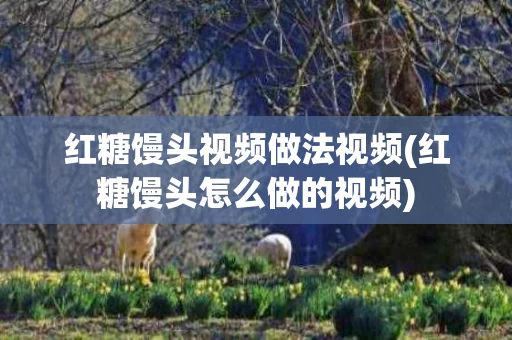 红糖馒头视频做法视频(红糖馒头怎么做的视频)