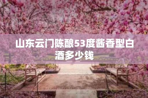 山东云门陈酿53度酱香型白酒多少钱