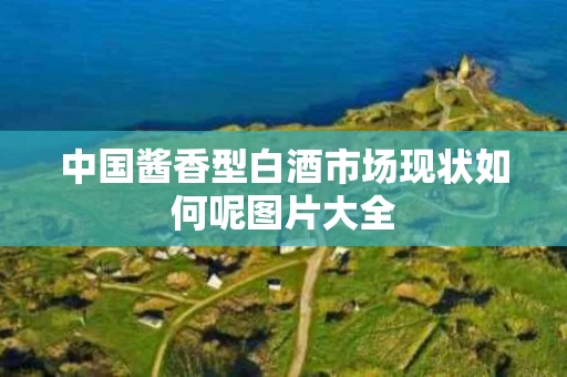 中国酱香型白酒市场现状如何呢图片大全