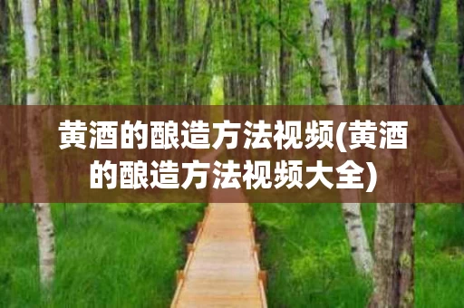 黄酒的酿造方法视频(黄酒的酿造方法视频大全)