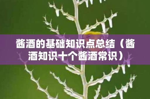 酱酒的基础知识点总结（酱酒知识十个酱酒常识）