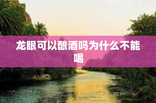 龙眼可以酿酒吗为什么不能喝
