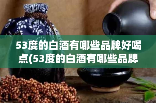 53度的白酒有哪些品牌好喝点(53度的白酒有哪些品牌好喝点呢)