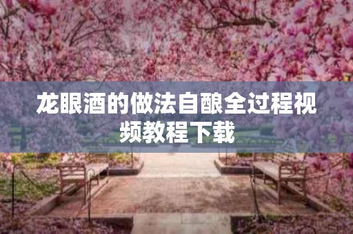 龙眼酒的做法自酿全过程视频教程下载