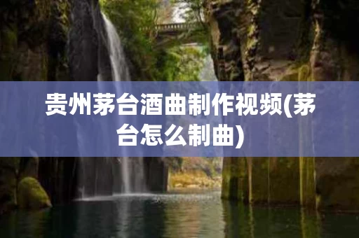 贵州茅台酒曲制作视频(茅台怎么制曲)