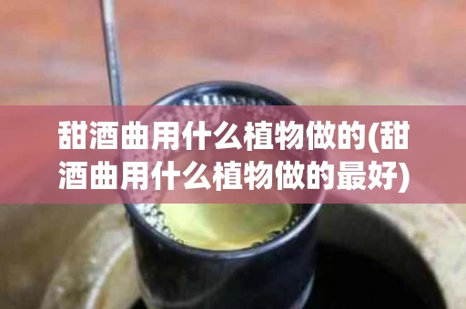 甜酒曲用什么植物做的(甜酒曲用什么植物做的最好)