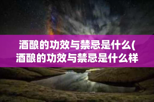 酒酿的功效与禁忌是什么(酒酿的功效与禁忌是什么样的)