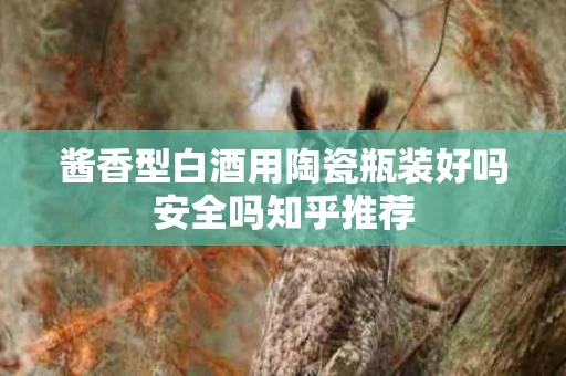 酱香型白酒用陶瓷瓶装好吗安全吗知乎推荐