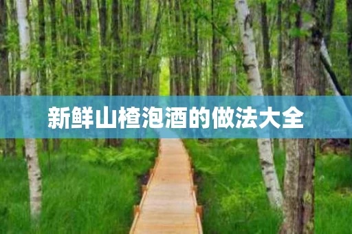 新鲜山楂泡酒的做法大全 新鲜山楂泡酒的做法大全