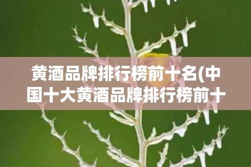黄酒品牌排行榜前十名(中国十大黄酒品牌排行榜前十名)