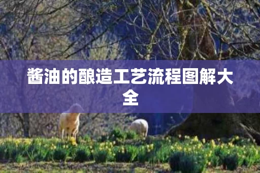 酱油的酿造工艺流程图解大全