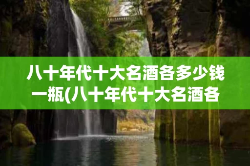 八十年代十大名酒各多少钱一瓶(八十年代十大名酒各多少钱一瓶呢)