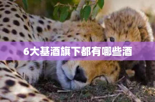 6大基酒旗下都有哪些酒