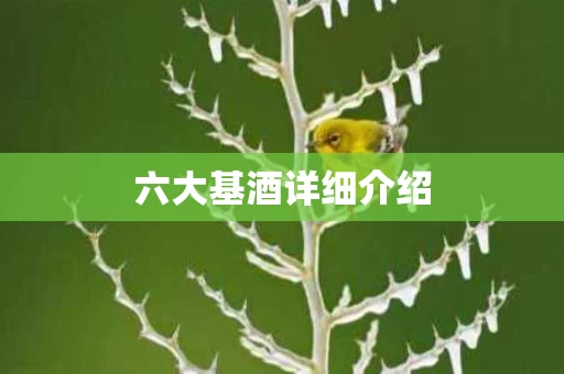 六大基酒详细介绍 六大基酒详细介绍