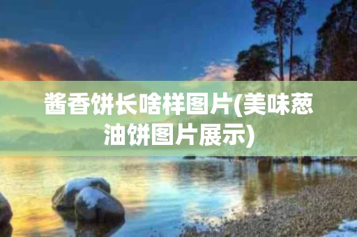 酱香饼长啥样图片(美味葱油饼图片展示)