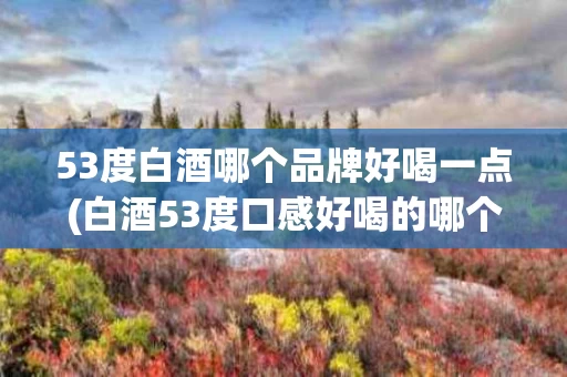 53度白酒哪个品牌好喝一点(白酒53度口感好喝的哪个品牌?)