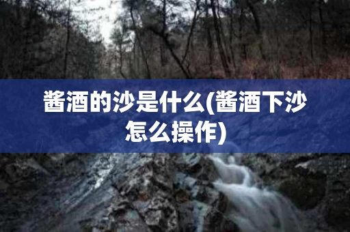 酱酒的沙是什么(酱酒下沙怎么操作)