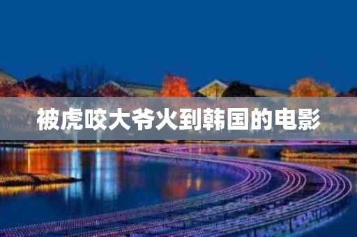 被虎咬大爷火到韩国的电影