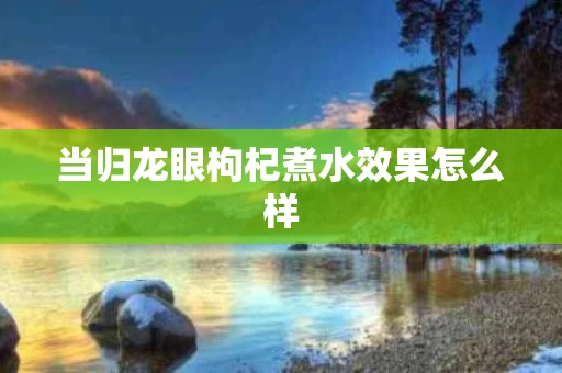 当归龙眼枸杞煮水效果怎么样