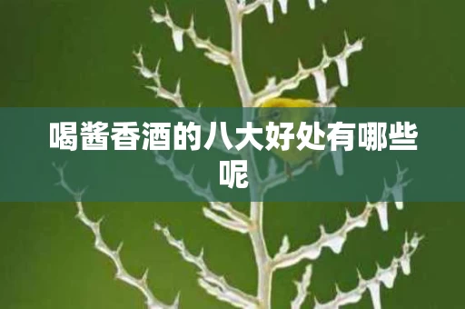 喝酱香酒的八大好处有哪些呢